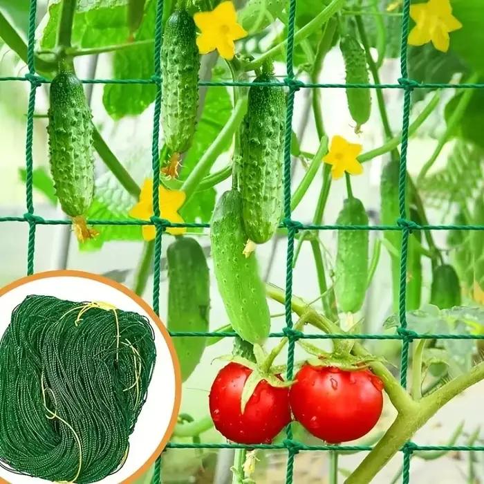 Filet de treillis pour plantes grimpantes