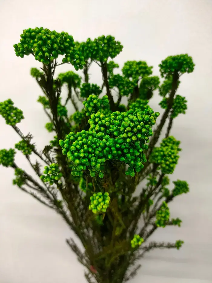 Fleurs de Riz vaccées Naturelles de 80 à 320g, Aide au Vrai Millet, Fleuriste, Matériel de Bricolage