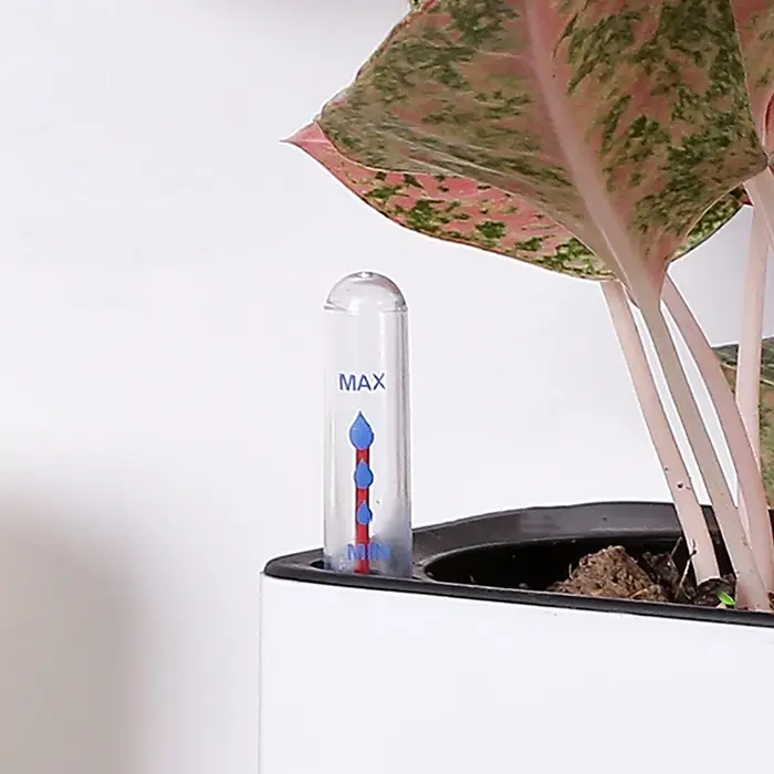 Indicateur de niveau d'eau pour plantes d'intérieur