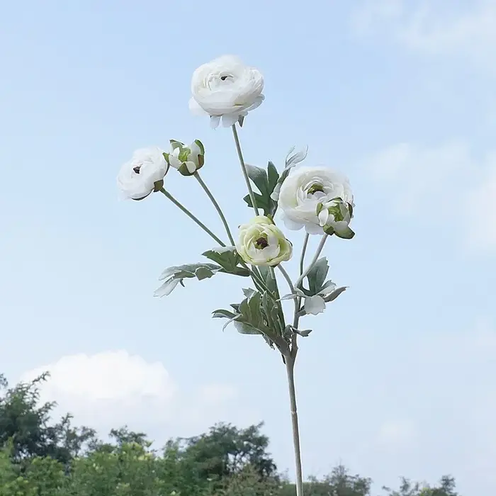 Fausses fleurs de Lotus camélia Ranunculus artificielles de 26.77 pouces