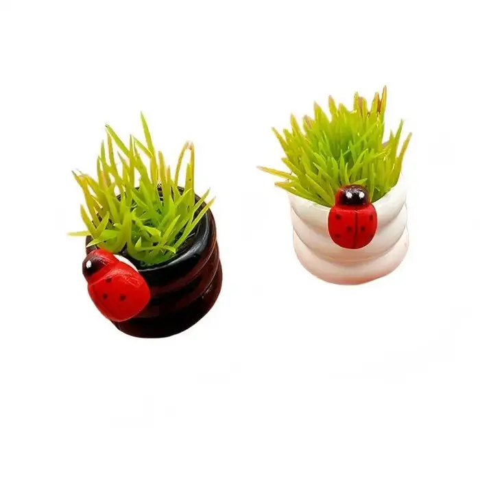 Ornement de plante miniature en pot avec coccinelle