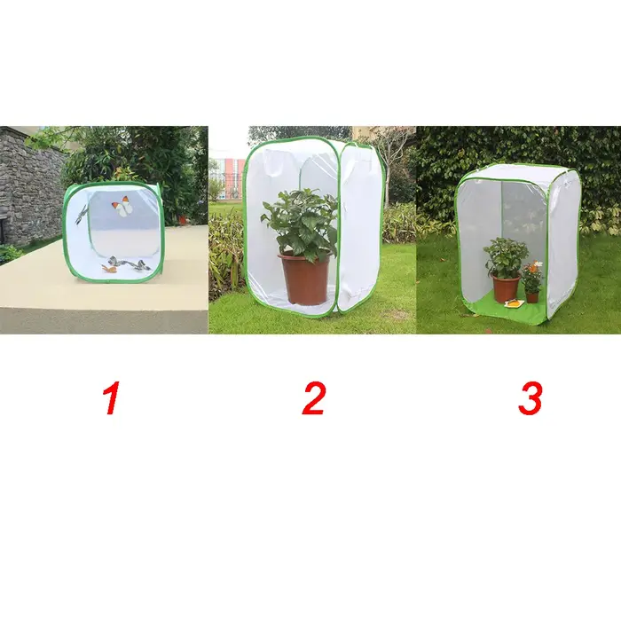 Mini Boîte d'Alimentation Noire pour Insectes