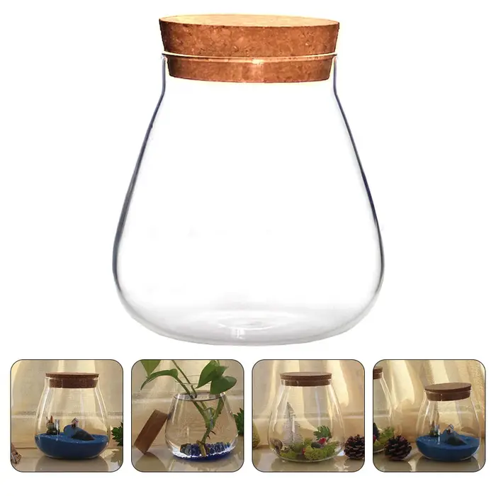 Bocaux de Terrarium en Verre avec Bouchon de Liège
