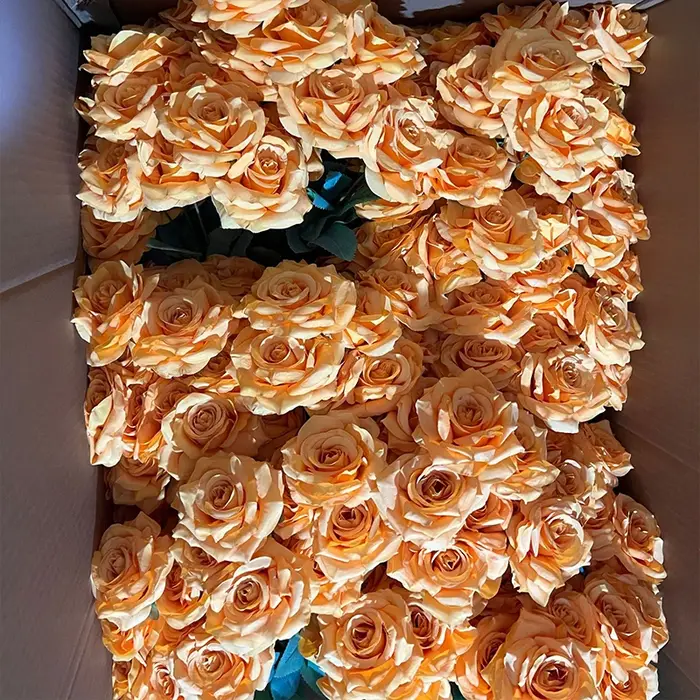 Bouquet de Roses artificielles en diamant