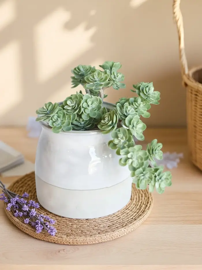Succulentes artificielles à double face floquée