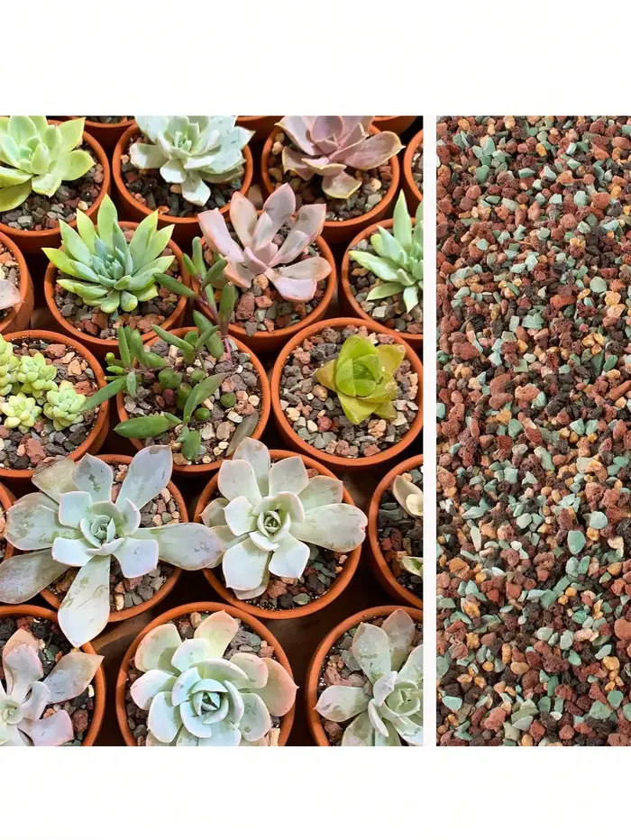 Mélange de galets de roche de lave horticole