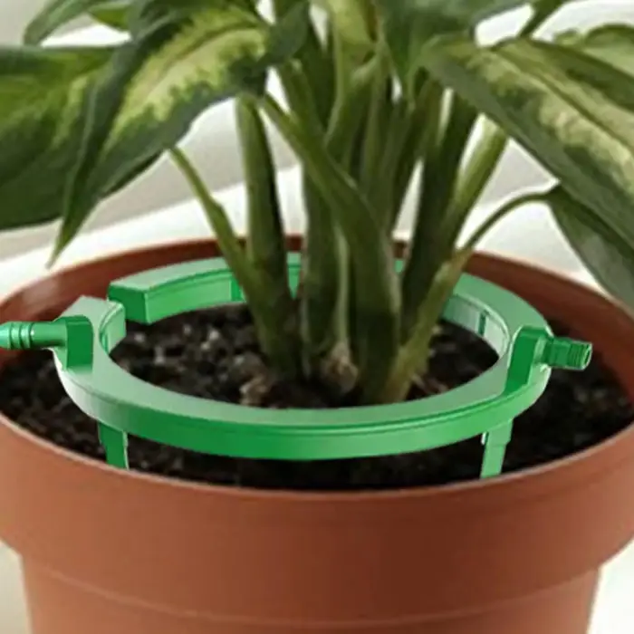 Anneaux d'irrigation pour plantes