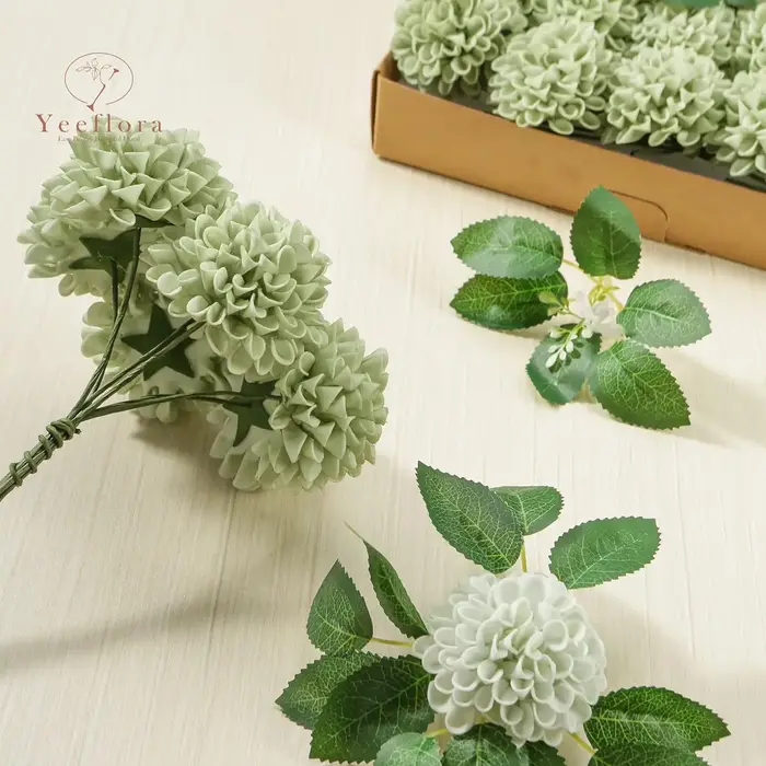 Fleurs de Dahlia vert sauge