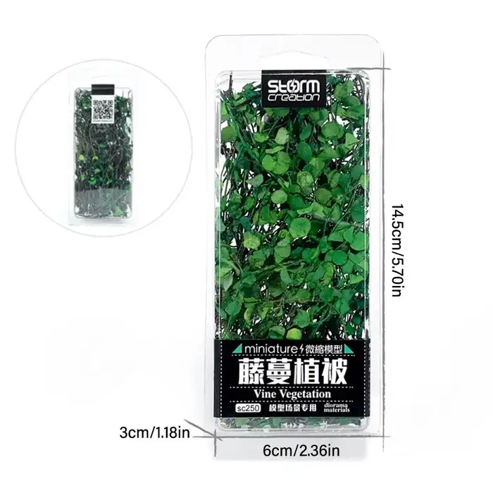 Boîte de plantes miniatures de type Creepers
