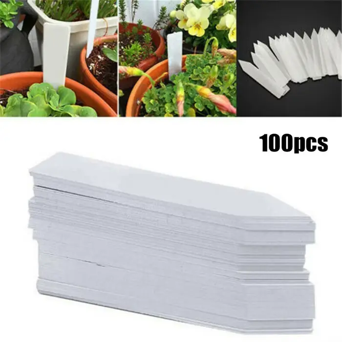 Étiquettes de plantes de jardin, 100 pièces, accessoires de plantes, Pots de fleurs, étiquettes de p