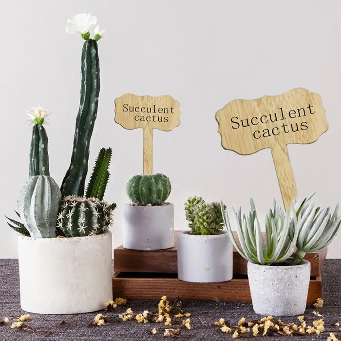 Étiquettes de plantes en bois