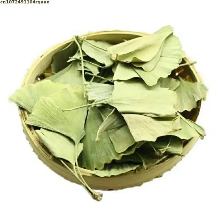 Feuilles de Ginkgo Biloba séchées naturelles