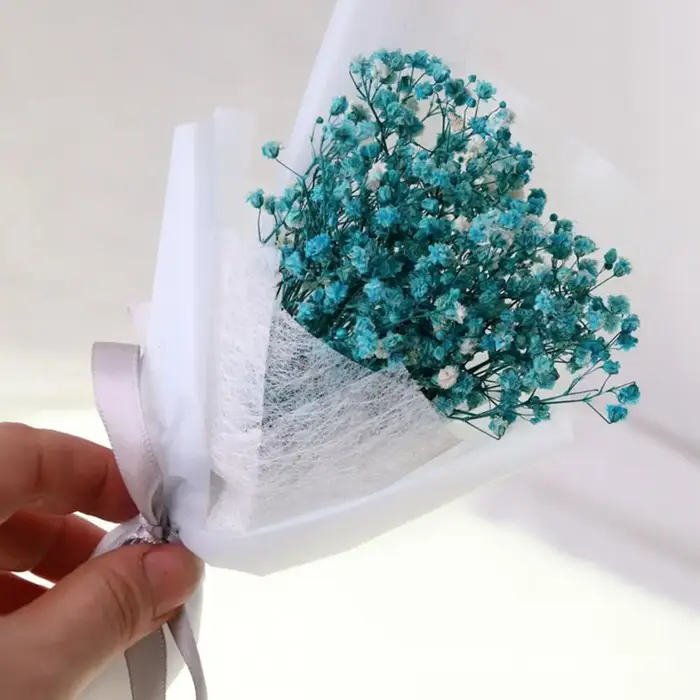 Fleurs séchées de gypsophile pour cadeaux