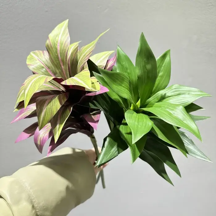 Simulation d'arbre de sang de Dragon