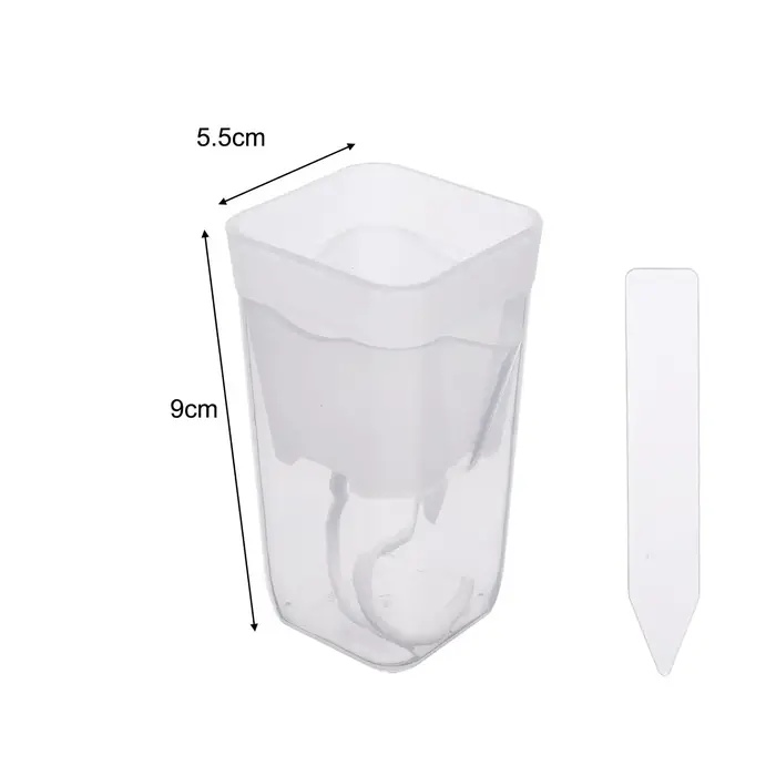 Pot de fleurs à arrosage automatique en plastique translucide avec trous de drainage pour succulente