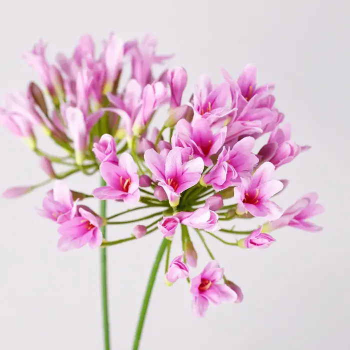 6 pièces de fleurs artificielles en soie bleues Agapanthus
