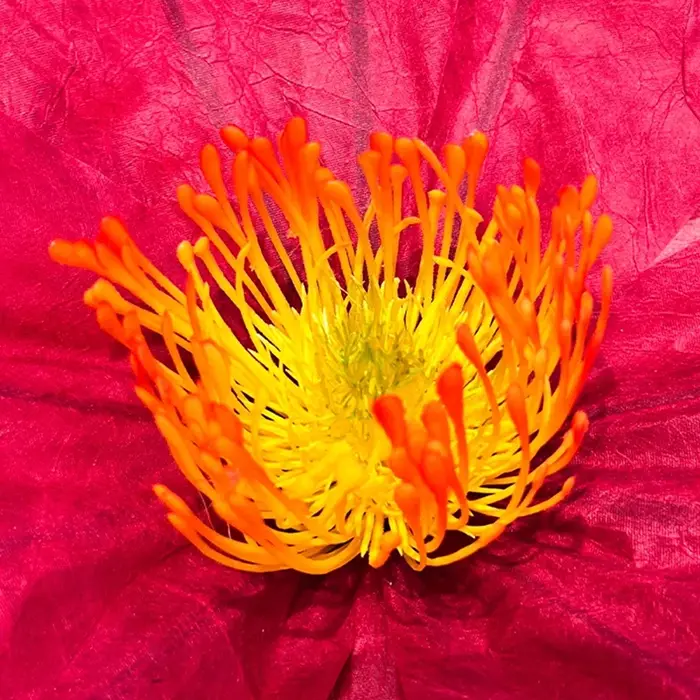 Fleurs artificielles en papier imperméable