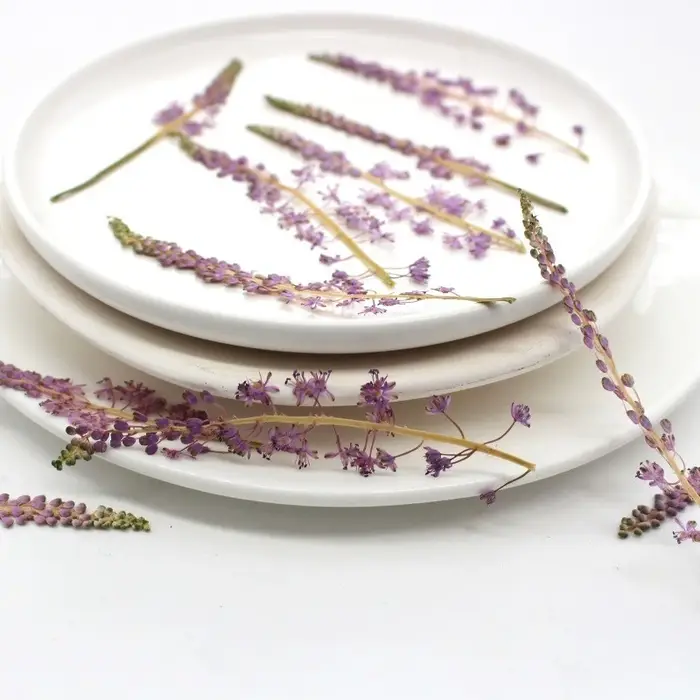 Fleur de Jujube en coton sauvage naturel