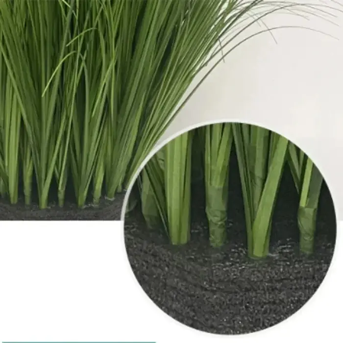 Simulation d'herbe à oignon
