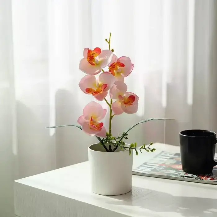 5 Plantes artificielles Phalaenopsis en pot pour la décoration de la maison et du bureau, petites plantes en pot, faux bonsaïs, plantes vertes