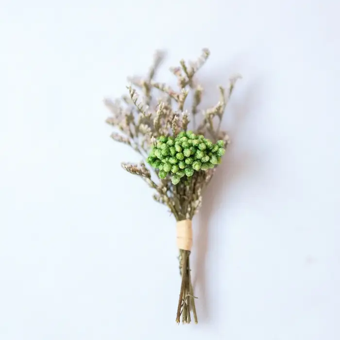 Kit de fleurs séchées DIY, bouquet de fleurs séchées vibrantes, carte de vœux décorative, bouquet éc