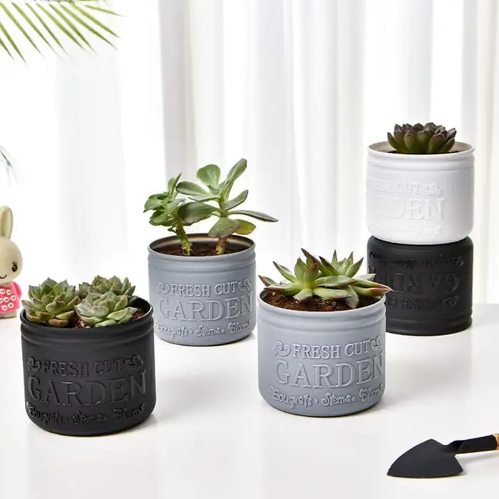 Pot de fleurs rond pour plantes succulentes