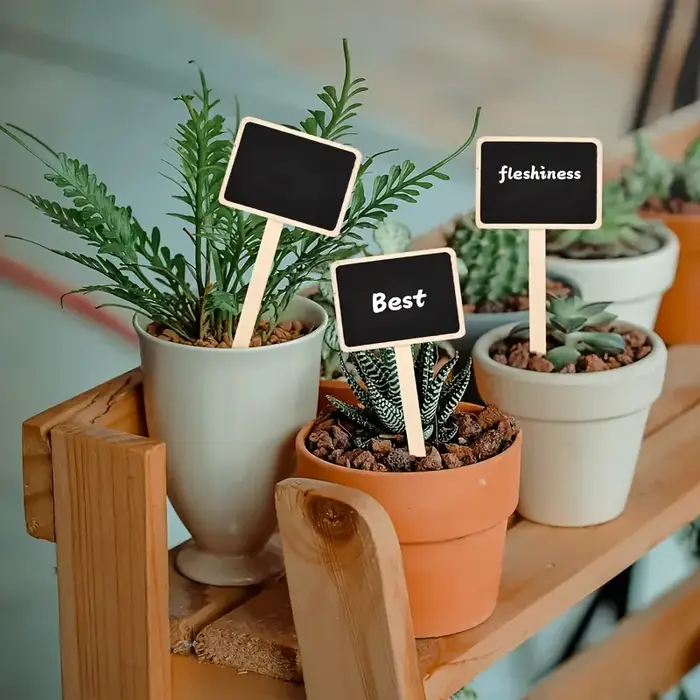 Étiquettes de plantes rustiques en bois, panneaux de jardin en forme de T, tableau noir, support au sol, 20 pièces