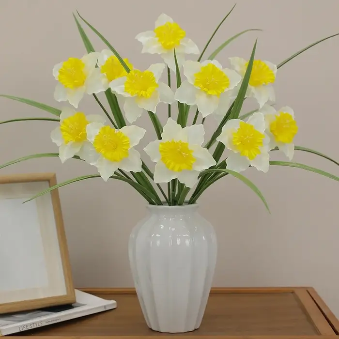 Plante de jonquille blanche