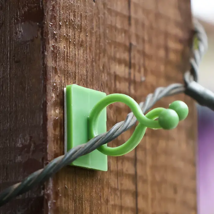 Clips de Support de Plantes pour Fleurs Grimpantes