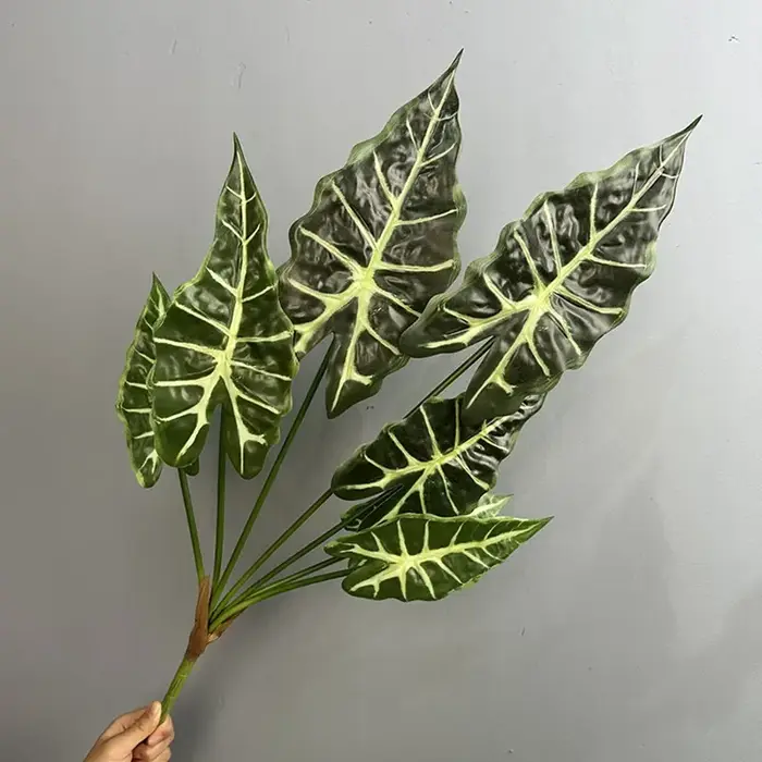 Simulation de plantes vertes Taro Levesf