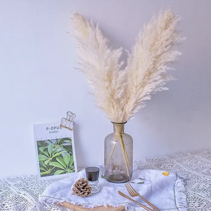 Décoration d'herbe de Pampa Boho 60cm