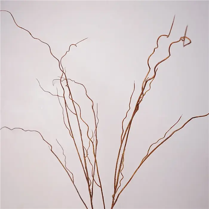 Simulation de Branches vaccées