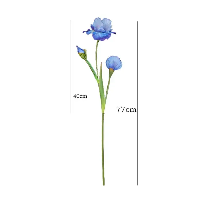 77CM Iris fleur