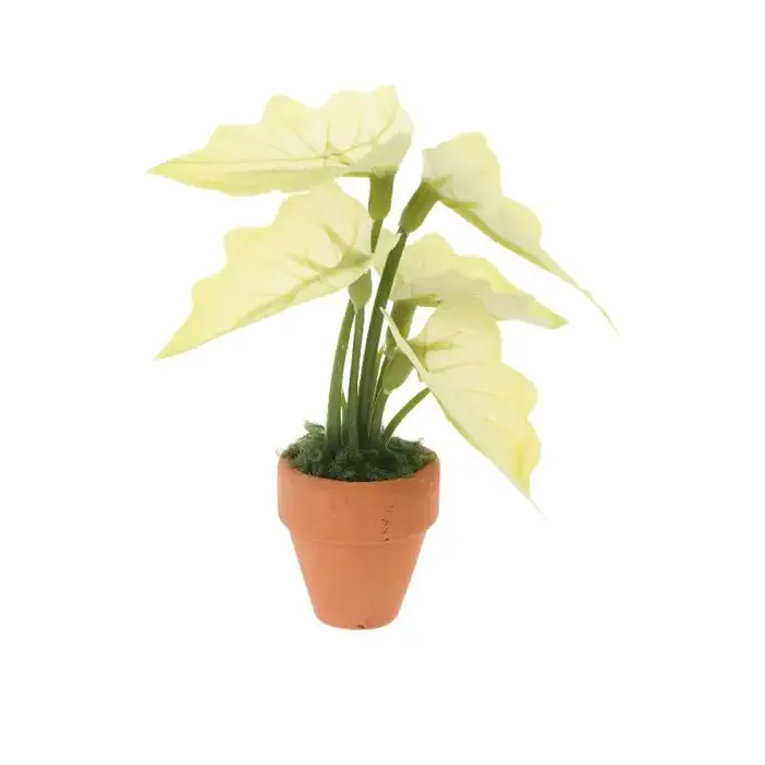 Mini-plante de taro en pot verte, modèle réaliste avec feuilles, pour décoration de maison de poupée