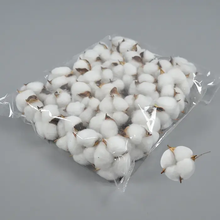 80 pièces de fleurs artificielles en coton blanc de 6 cm