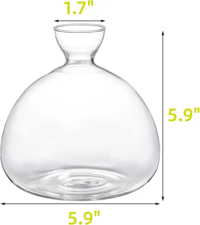 Vase de démarrage pour graines d'avocat