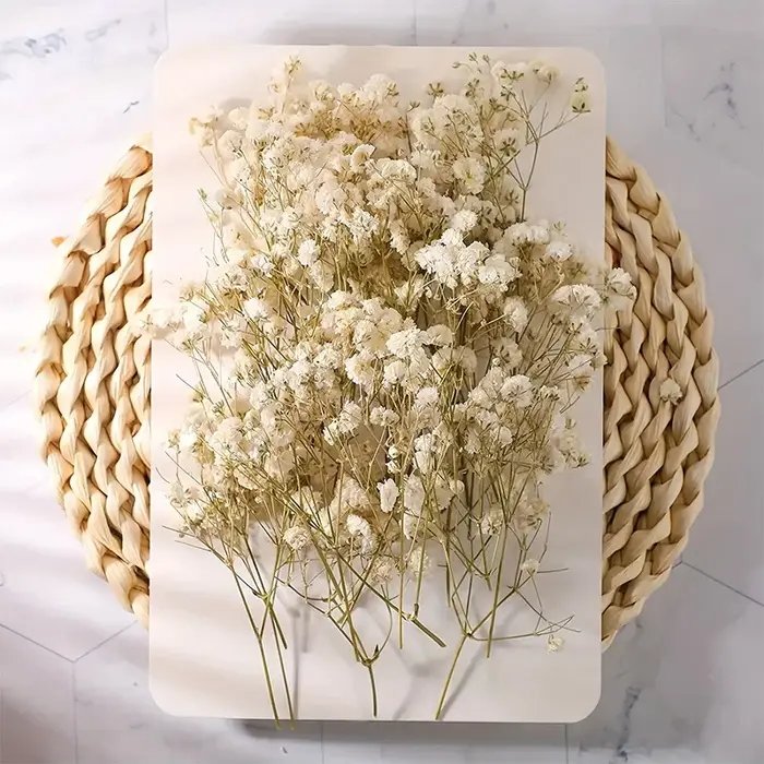 100 mini-fleurs séchées de gypsophile naturelles pour bricolage
