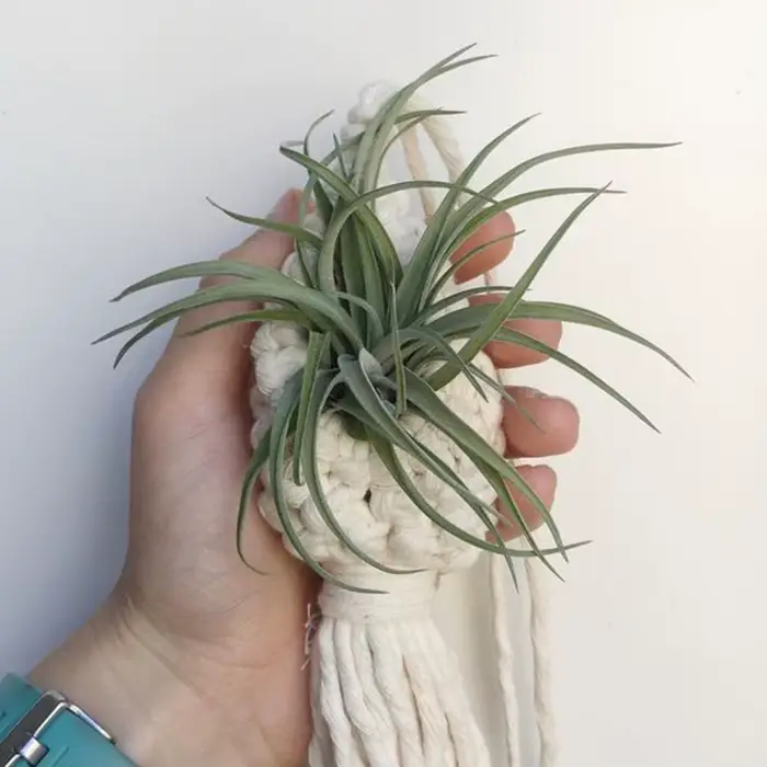 Mir en macramé fait à la main pour la décoration intérieure