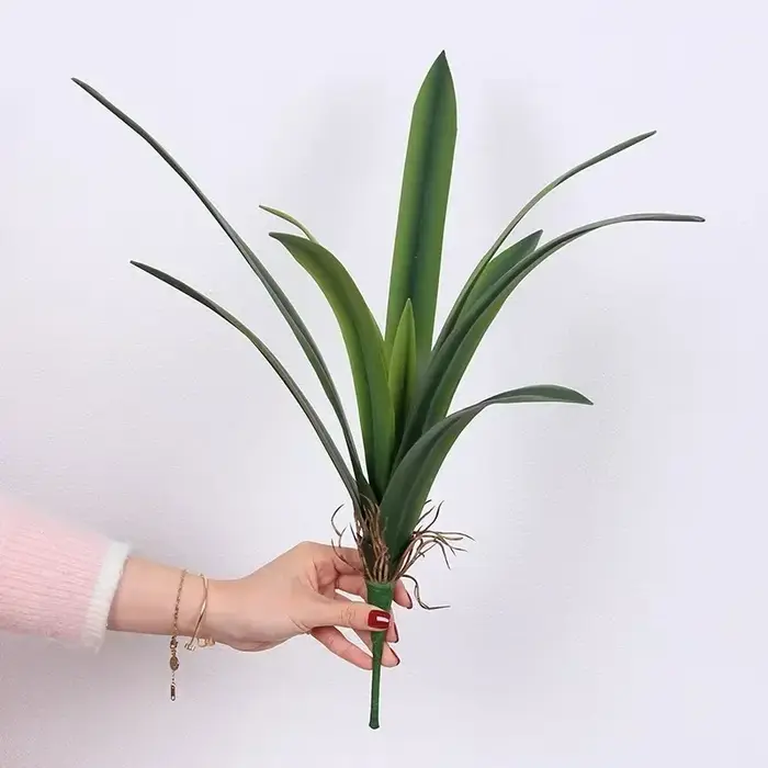 Feuilles de clivia artificielles plantes vertes