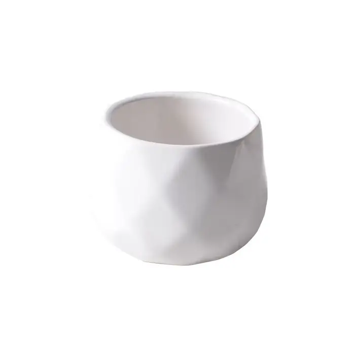 Pot de fleurs créatif en céramique