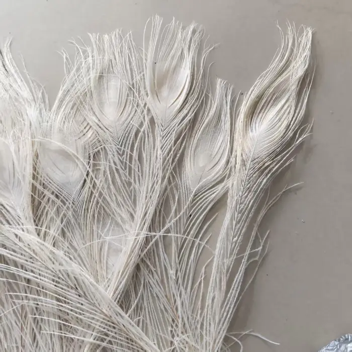 Vente en gros! Belles plumes d'oeil de paon blanc