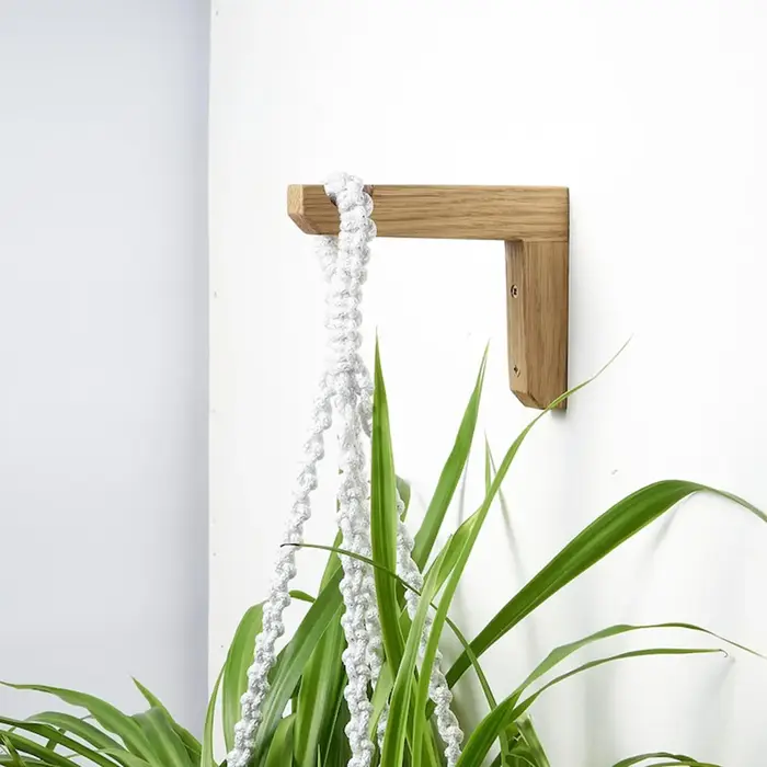 Crochets muraux pour plantes