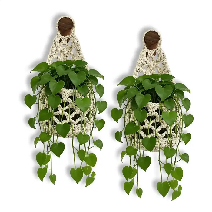 Ensemble de paniers suspendus en corde de coton tressée à la main - support mural pour plantes avec crochets