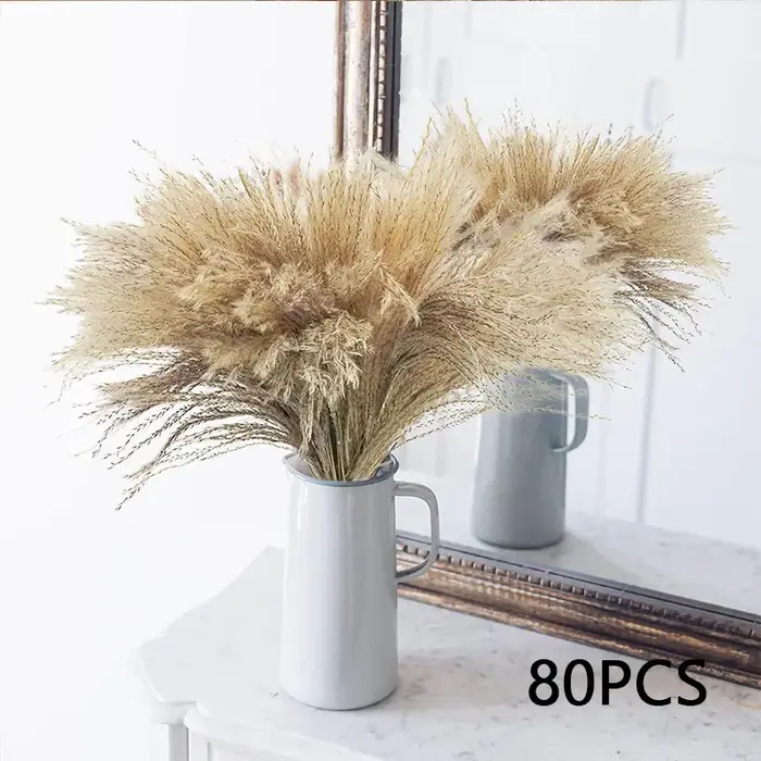 Moelleux Pampas fleurs séchées queues de lapin naturelles herbe décor festif maison mariage fleur ar
