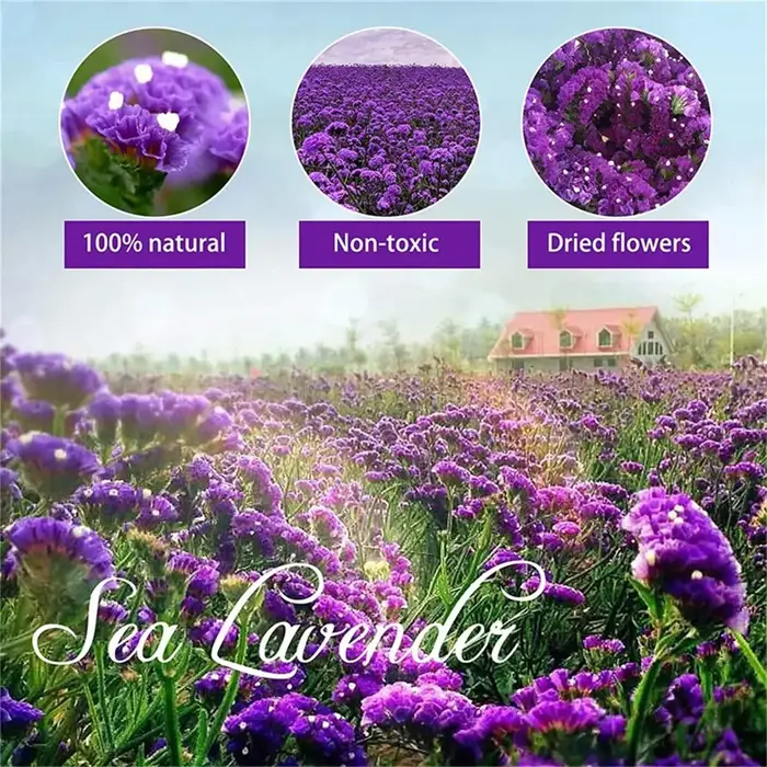 Bouquet de fleurs naturelles