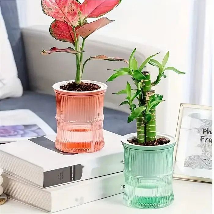 Pot de fleurs auto-arrosant transparent à double couche