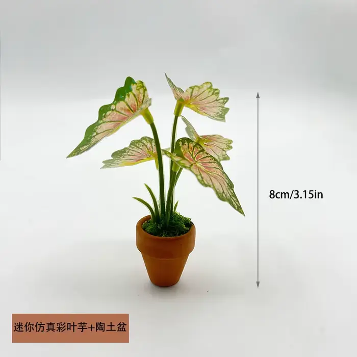 Mini plantes en pot vertes à dos de tortue Taro