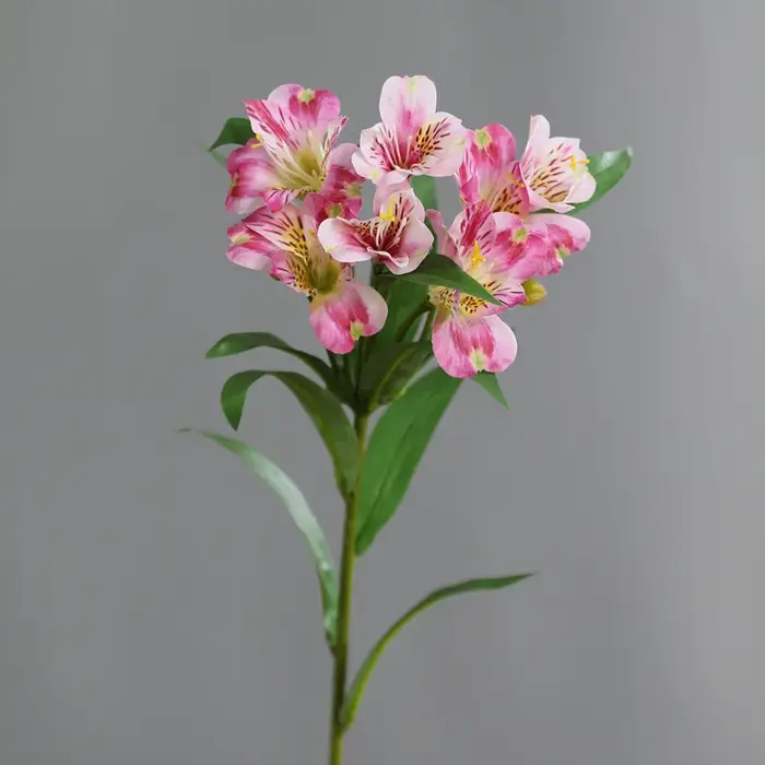 1 pièces 78 cm haute qualité artificielle péruvienne lys Alstroemeria fleurs en soie mariage décor à