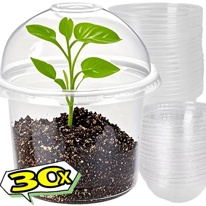 Pots de pépinière transparents avec couvercles