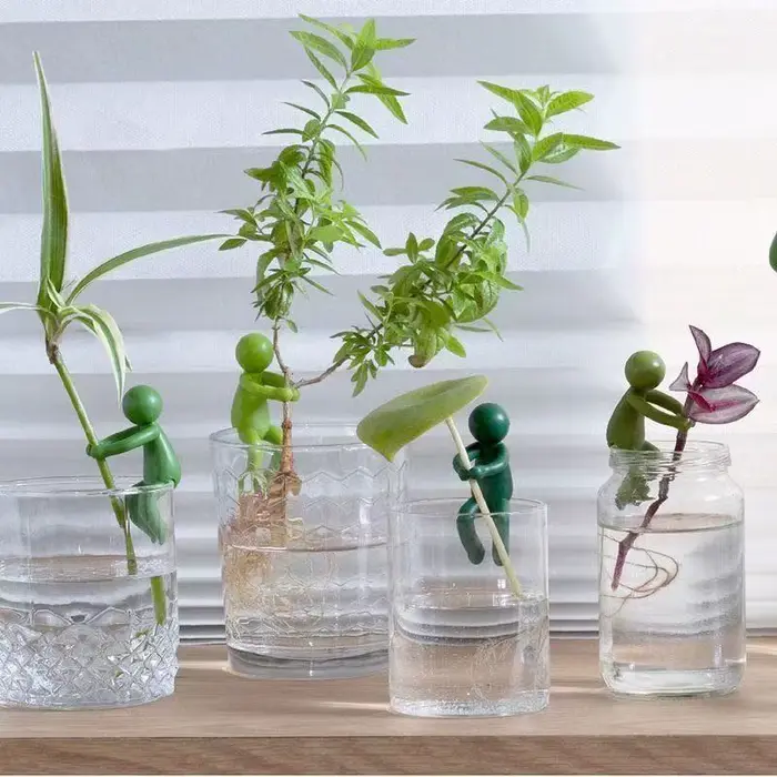 Support pour plantes – Clip